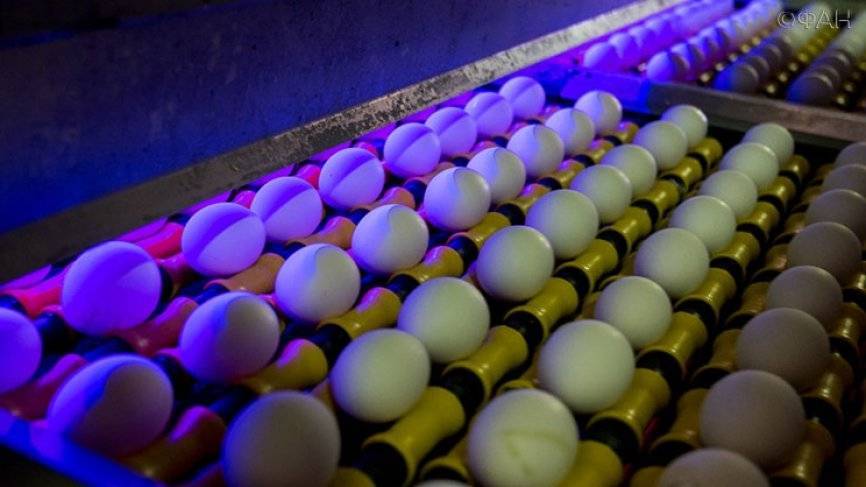 Звездный диетолог объяснила, почему нельзя употреблять в пищу много яиц