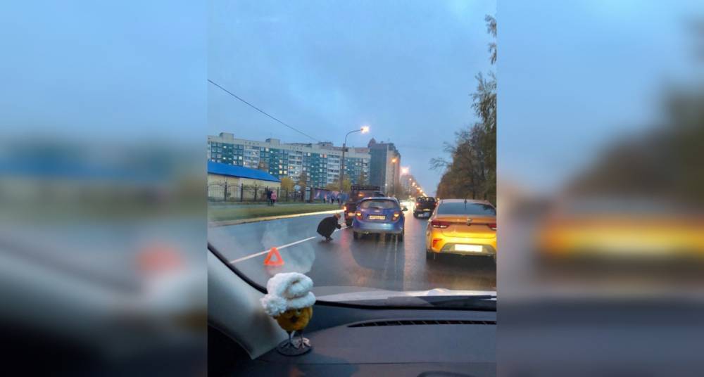 Автоледи на Chevrolet и УАЗ не поделили Долгоозерную улицу в Петербурге