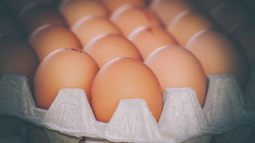 В Российском обществе диетологов оценили исследование о чрезмерном потреблении россиянами яиц