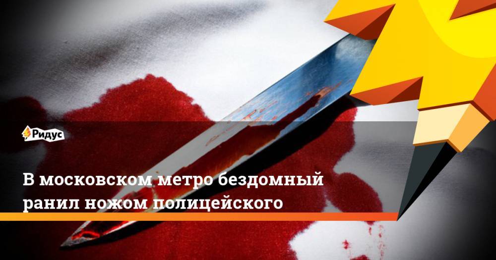 В московском метро бездомный ранил ножом полицейского