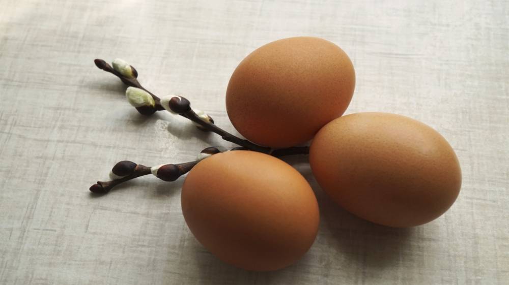 Эксперт опроверг заявление диетолога Минздрава об опасности употребления яиц