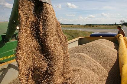 Россия обсудит с Вьетнамом поставки пшеницы