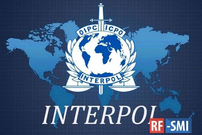 Политическое дело: за что Интерпол задержал Богачеву и почему ее отпустили