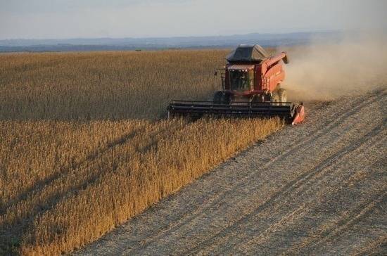 Аграрии Новгородской области могут недополучить урожай