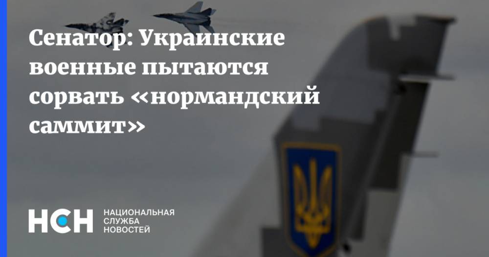 Сенатор: Украинские военные пытаются сорвать «нормандский саммит»