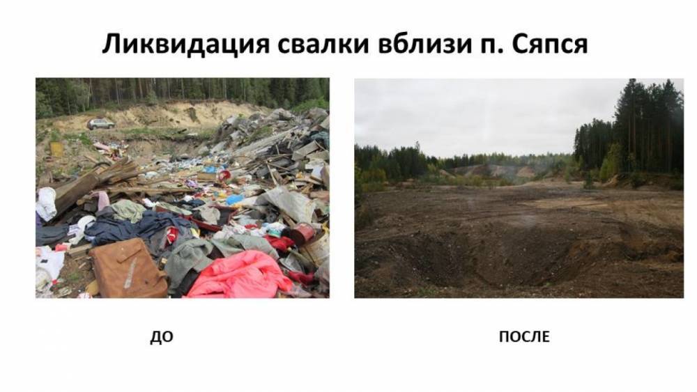 Из леса Пряжинского района убрали несанкционированную свалку