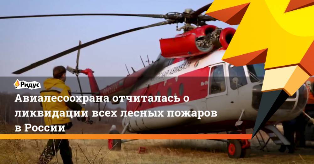 Авиалесоохрана отчиталась о ликвидации лесных пожаров в России