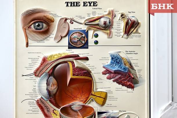 Невролог рассказал, о чем предупреждает «дергающийся» глаз
