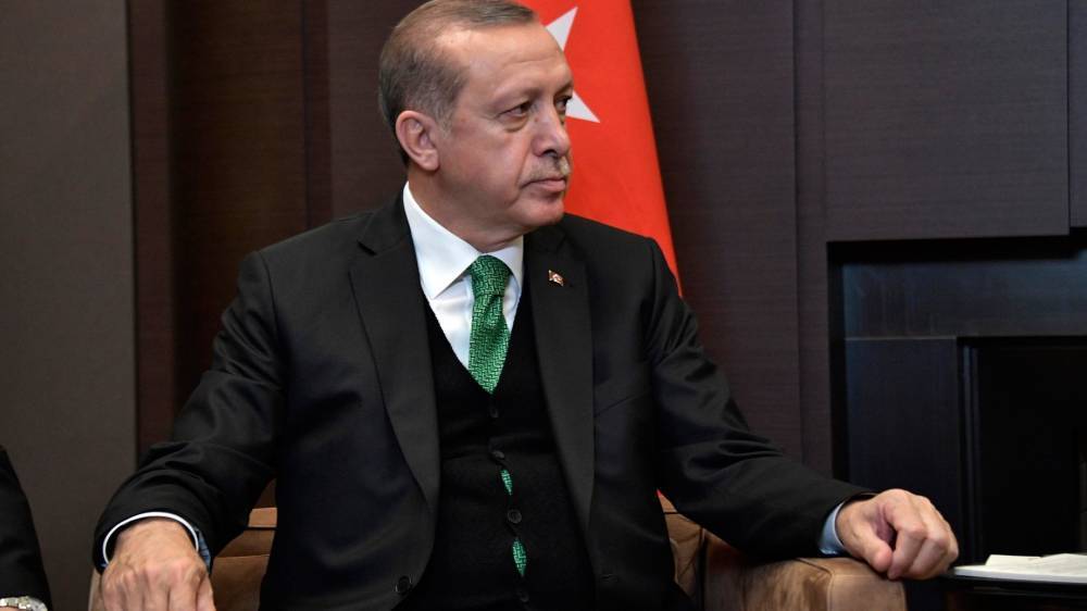 Эрдоган заявил, что Турция будет сама создавать зону безопасности в Сирии