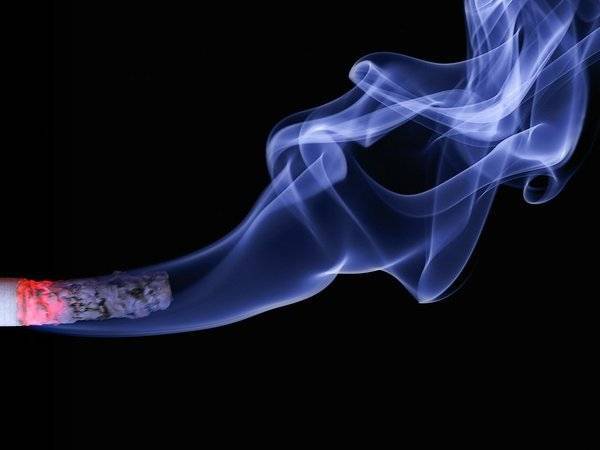 В России с 1 октября начнется эксперимент по маркировке сигар и табака