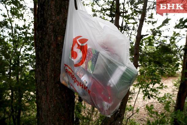 У жителей троицко-печорского поселка медведь украл мешок с мусором