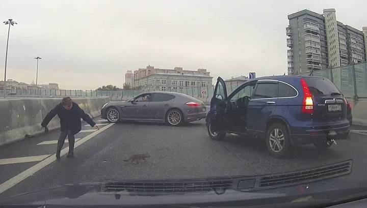 Водители перекрыли дорогу в Москве ради спасения котенка. Видео
