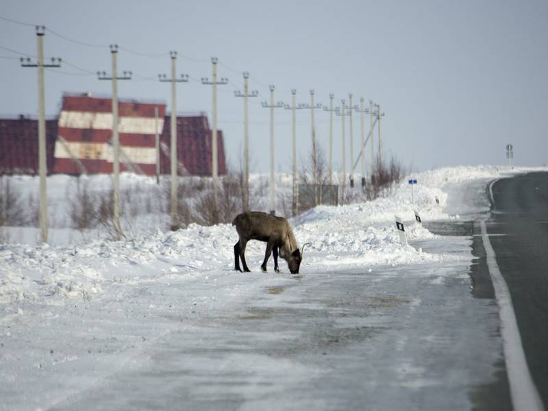 Учёный назвал наиболее страдающие от изменения климата города РФ