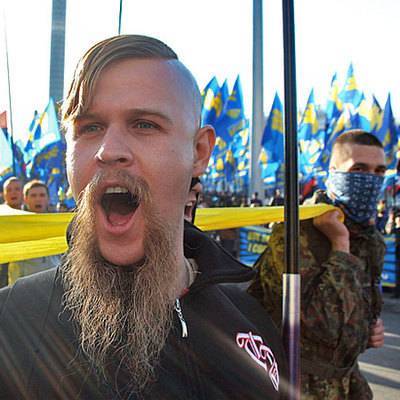 Украинские националисты протестуют против формулы Штайнмайера