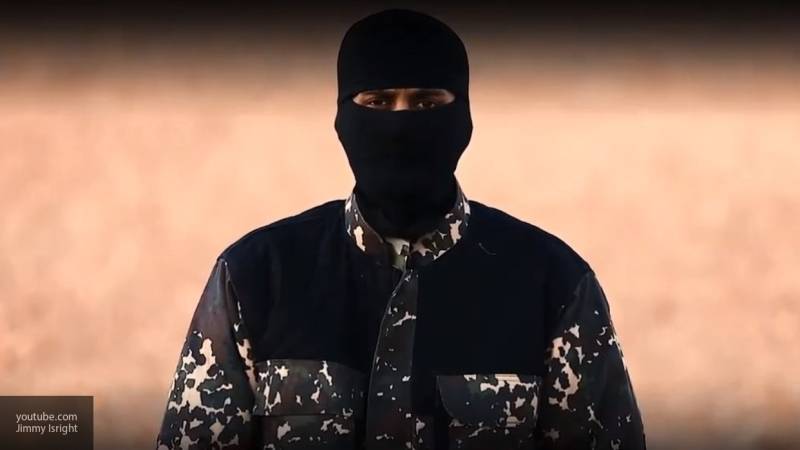 Террористы объединились в одну сеть и угрожают Европе, предупреждает эксперт