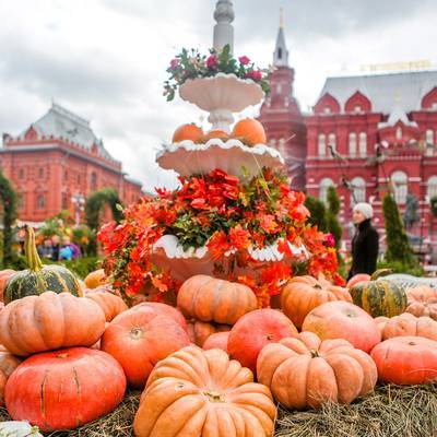 На московский фестиваль "Золотая осень" привезут более 250 тонн продуктов