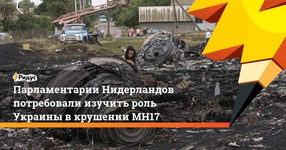 Парламентарии Нидерландов потребовали изучить роль Украины в крушении МН17