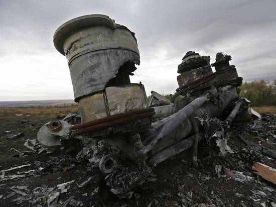 Эксперт оценил предложение голландцев расследовать вину Украины в деле MH-17