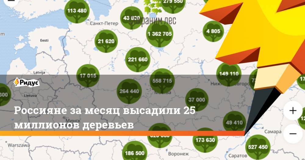 Россияне за месяц высадили 25 миллионов деревьев