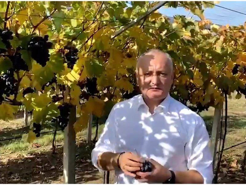 Президент Молдавии по-русски обратился к россиянам с просьбой покупать молдавский виноград
