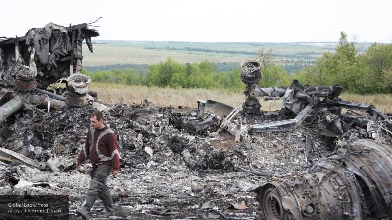 Эксперт заявил о намеренном "запоздании" Нидерландов в расследовании гибели MH17