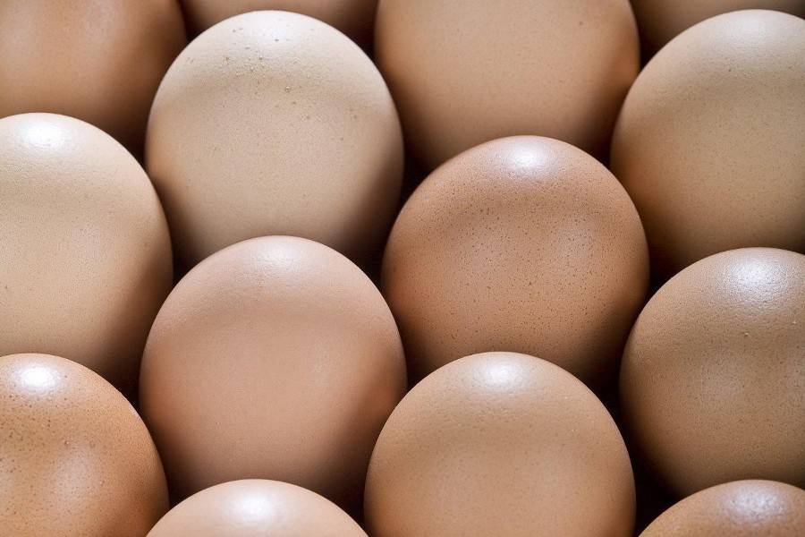 Аналитики заявили о чрезмерном потреблении яиц в России