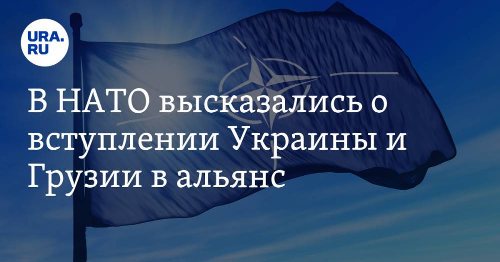 В НАТО высказались о вступлении Украины и Грузии в альянс. «Берет в Россию в кольцо»