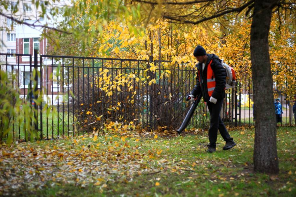 Городской субботник сплотил самых разных жителей Приморского района