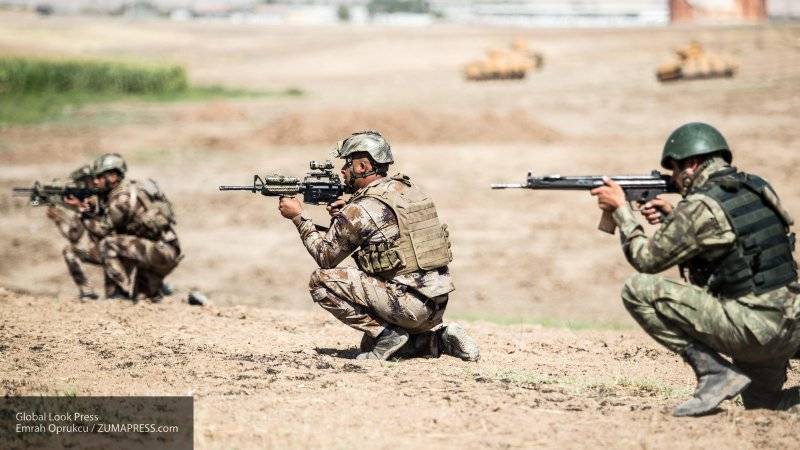 Эксперт отметил силу турецкой армии, воюющей в Сирии против курдов-террористов