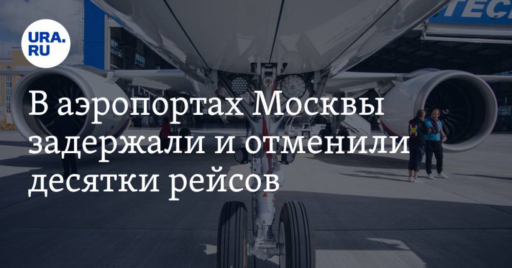 В аэропортах Москвы задержали и отменили десятки рейсов