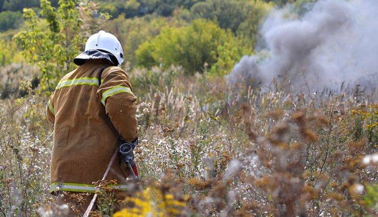В МЧС назвали количество действующих пожаров в России