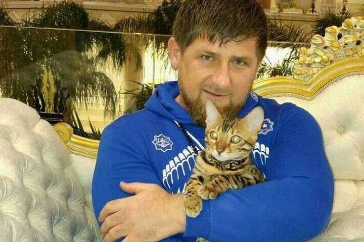 Кадыров заявил, что Чечня защитит Россию от террористов из Сирии