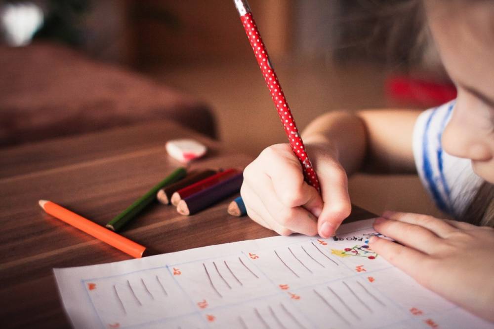 Учитель года из Петербурга рассказала о пользе домашних заданий для школьников