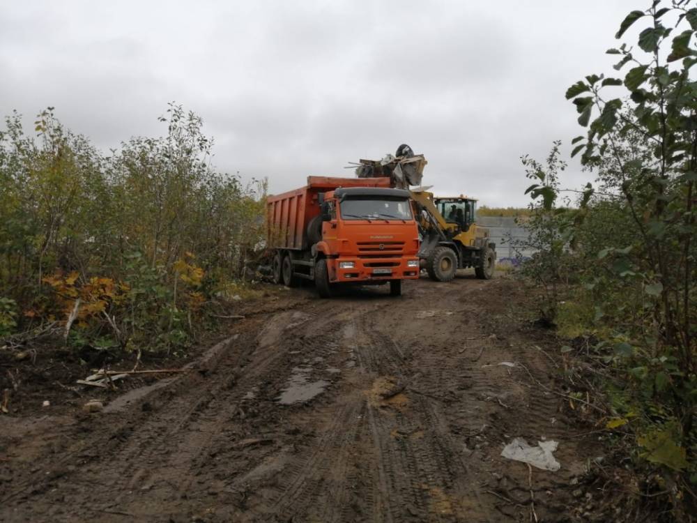 2,8 тыс. кубометров свалок ликвидировали в Петродворцовом районе
