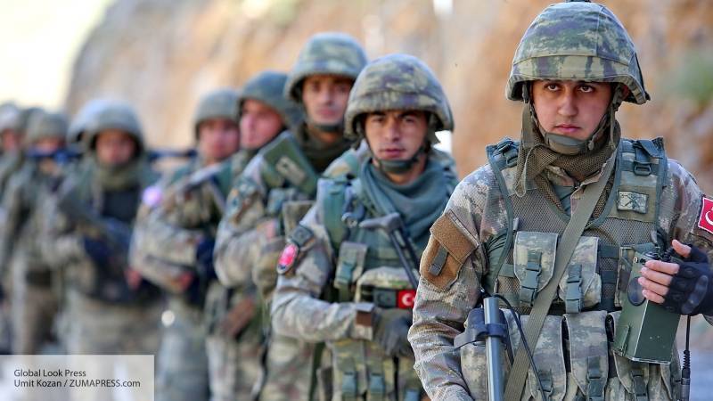 Политолог назвал операцию Турции против курдов-террористов спасительной для Сирии