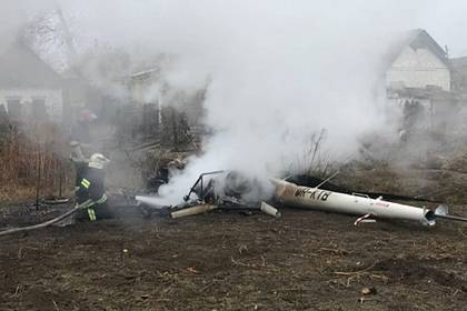Бывший украинский министр погиб в авикатастрофе