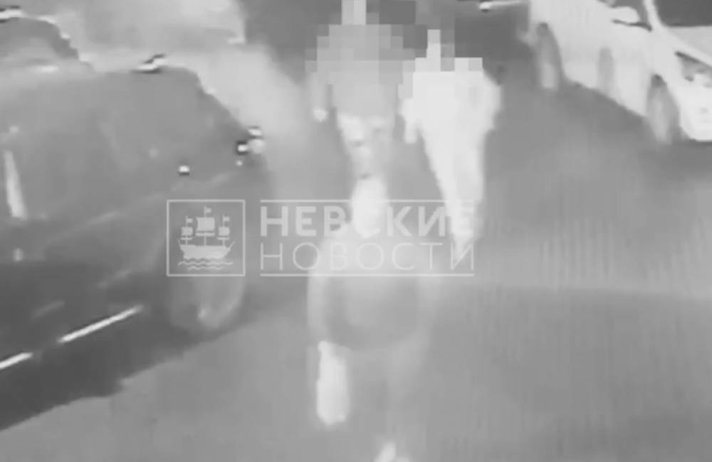 Разбойное нападение двоих националистов в Калининском районе попало на видео