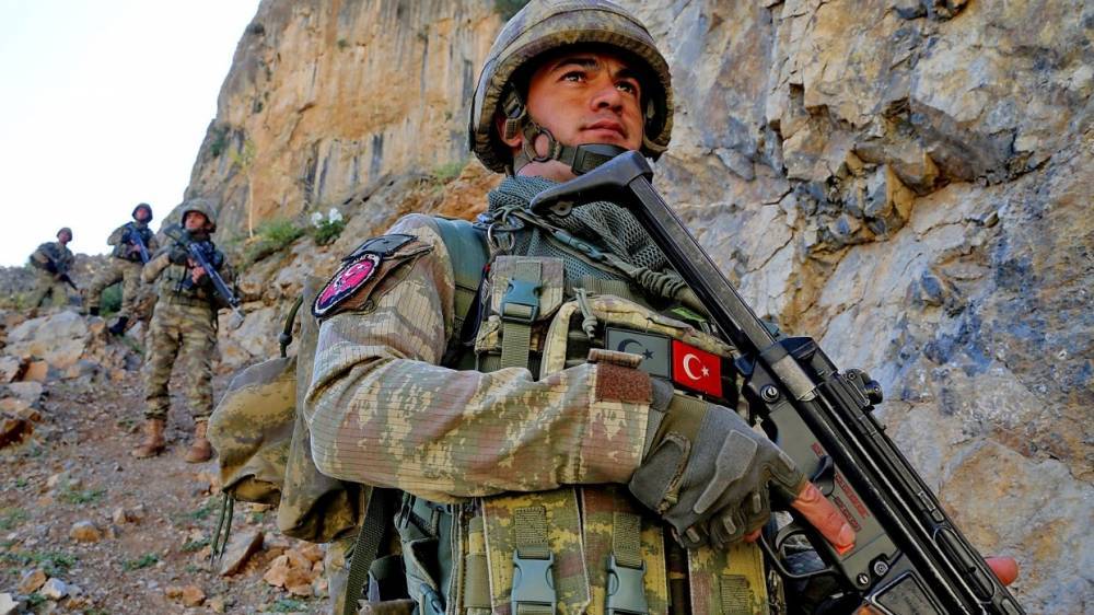 Эксперт заявил, что Турция согласует решение по курдам-террористам в Сирии с Россией