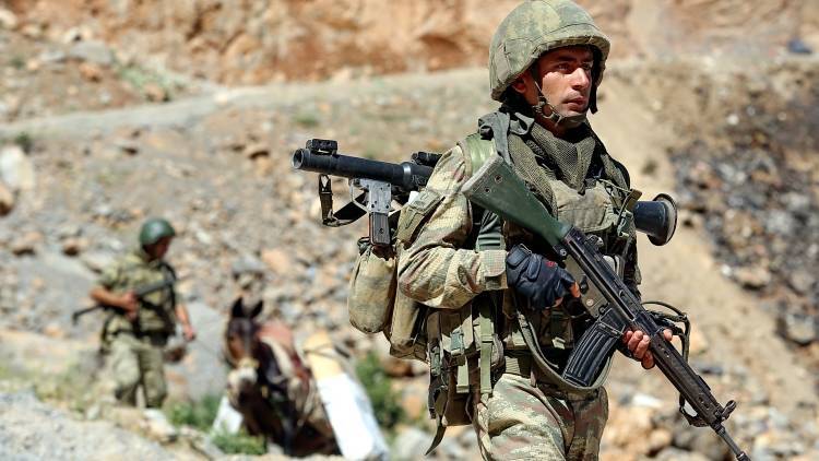 Эксперт раскрыл мотивы Турции в операции против курдских террористов в Сирии