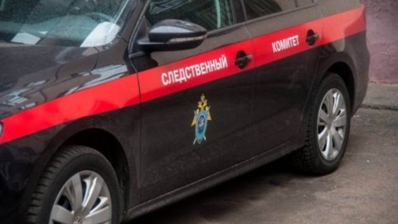Возбуждено дело о поножовщине с двумя убитыми в Новой Москве