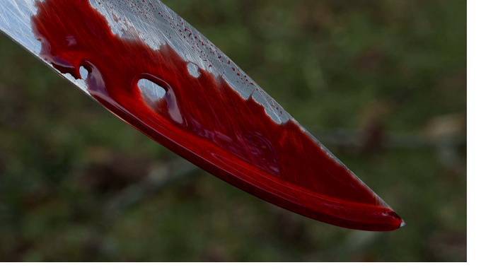 Полиция разыскивает ливийца, устроившего поножовщину в Шушарах
