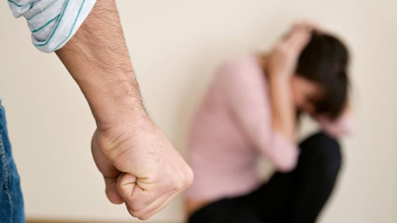 Закон о профилактике домашнего насилия прошелт парламентские слушания