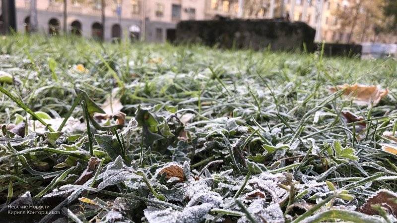 Синоптики предупредили жителей Петербурга о резком похолодании