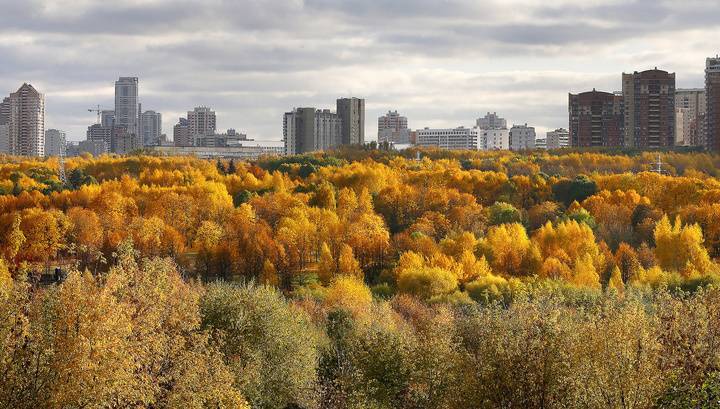 Московский октябрь может войти в тройку самых теплых