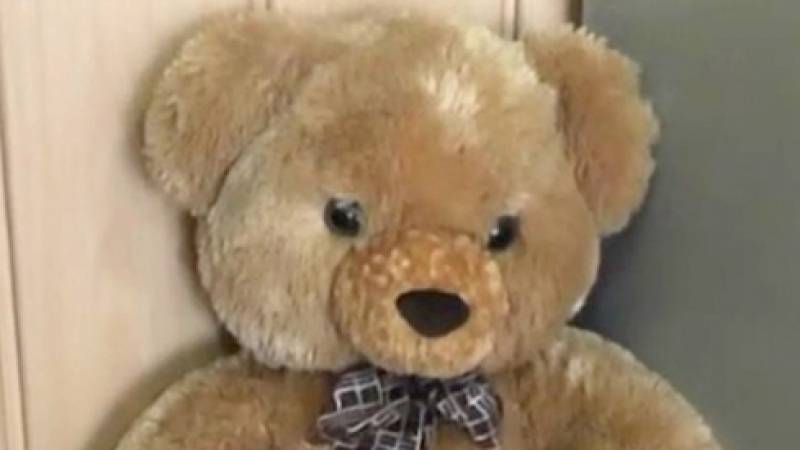 В Петербурге парень похитил из цветочного магазина метрового плюшевого медведя