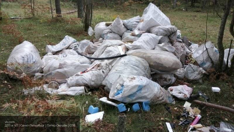 Новая система оплаты за вывоз мусора начнет действовать на Сахалине с 1 декабря