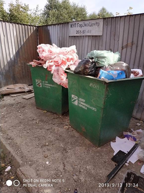 Полицию Челябинске обязали найти тех, кто заваливает мусорные контейнеры мясными тушами