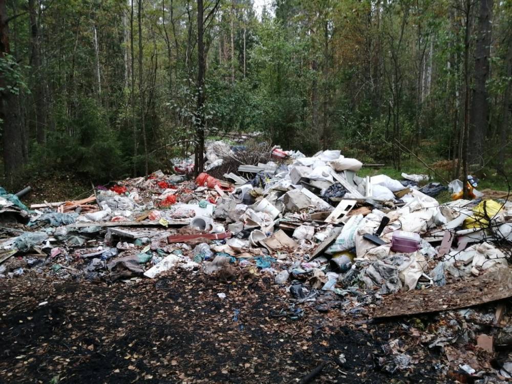 Пять мусорных свалок ликвидируют в районе Карелии