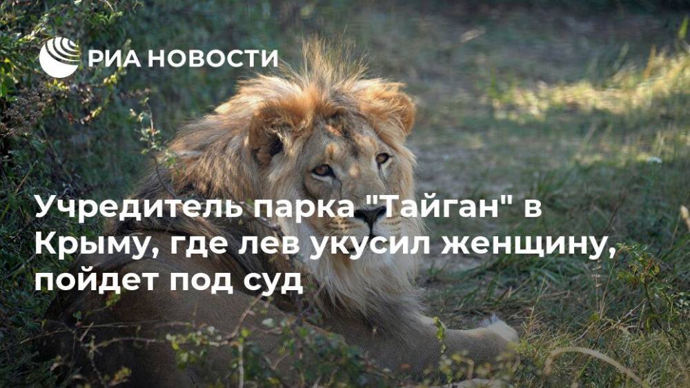 Учредитель парка "Тайган" в Крыму, где лев укусил женщину, пойдет под суд