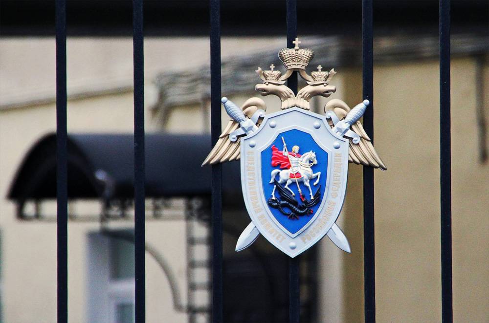 СК задержал замглавы правозащитной организации «Комитет за гражданские права» по подозрению в мошенничестве